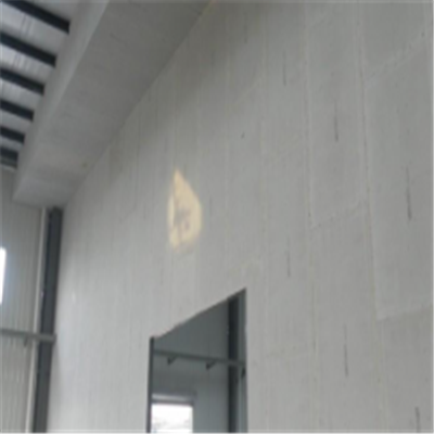 太原新型建筑材料掺多种工业废渣的ALC|ACC|FPS模块板材轻质隔墙板